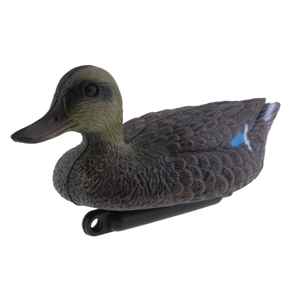 Mandarin Duck Ornaments Realis - đánh giá và giá Decoy Duck Plastic