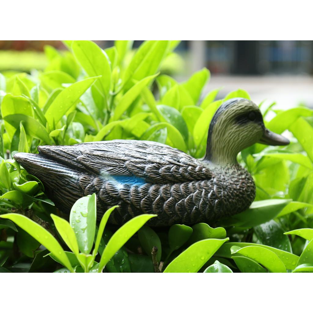 Mandarin Duck Ornaments Realis - đánh giá và giá Decoy Duck Plastic