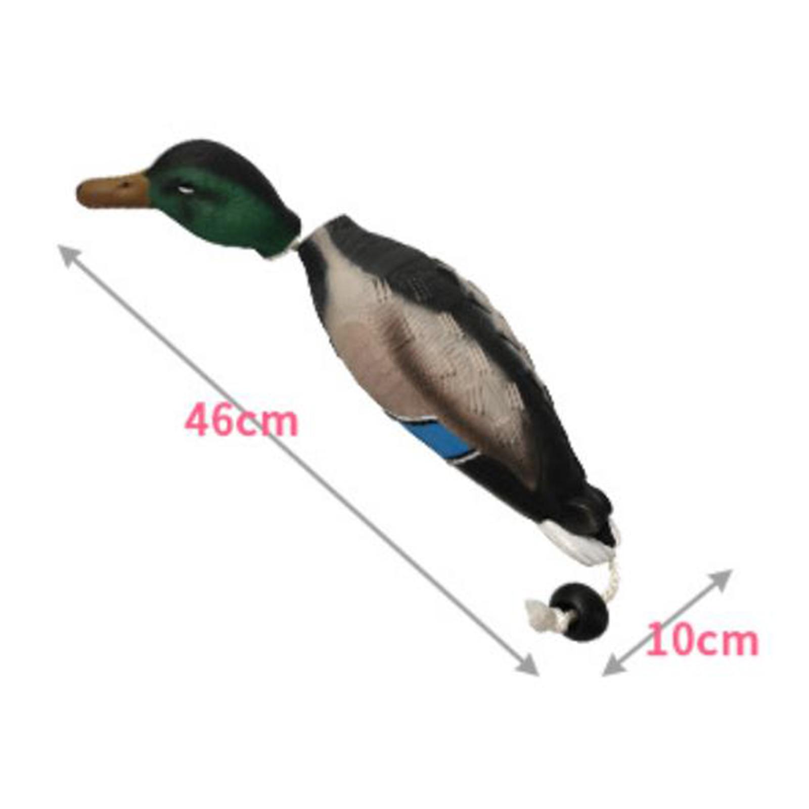 Mallard Duck Decoy Simulation  - đánh giá và giá Decoy Duck Plastic