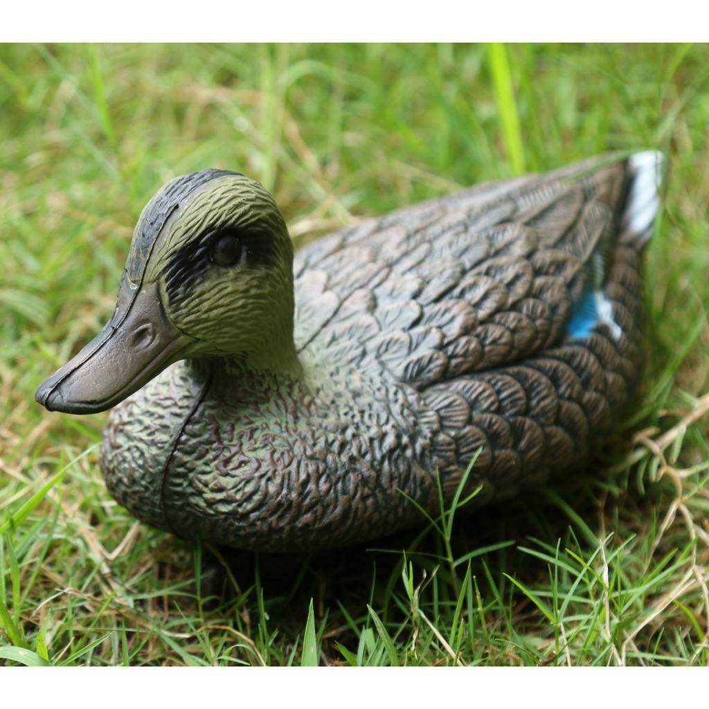 Lifesize Plastic Mandarin Duck - đánh giá và giá Decoy Duck Plastic