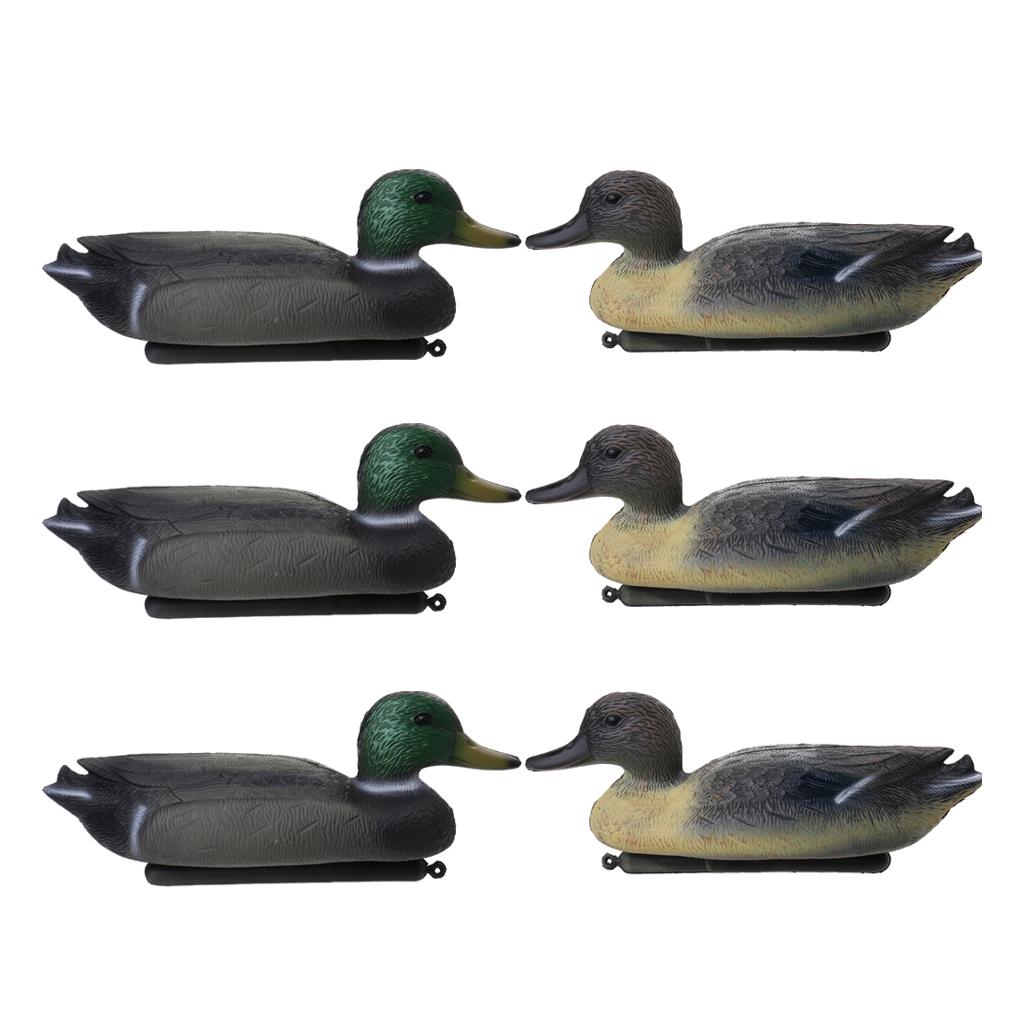 Floating Duck Decoy Life Size  - đánh giá và giá Decoy Duck Plastic