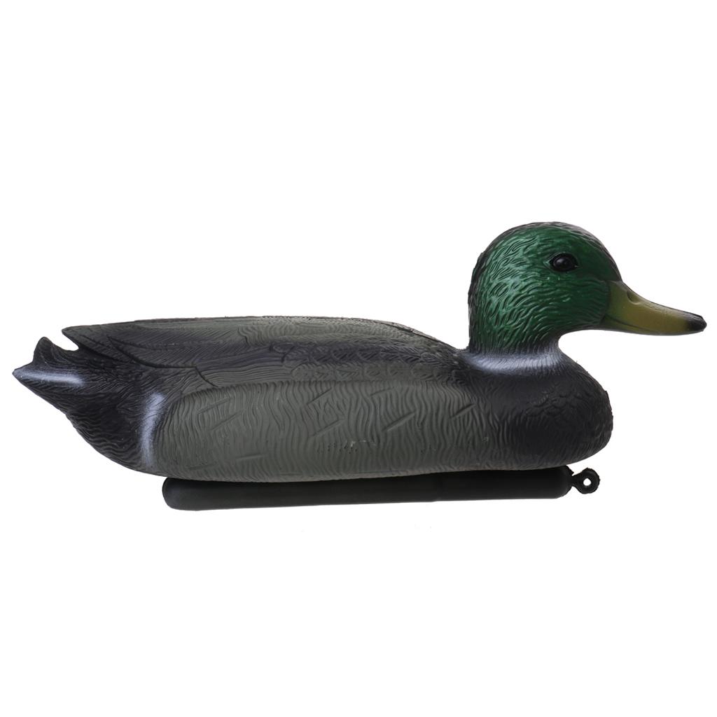 Floating Duck Decoy Life Size  - đánh giá và giá Decoy Duck Plastic