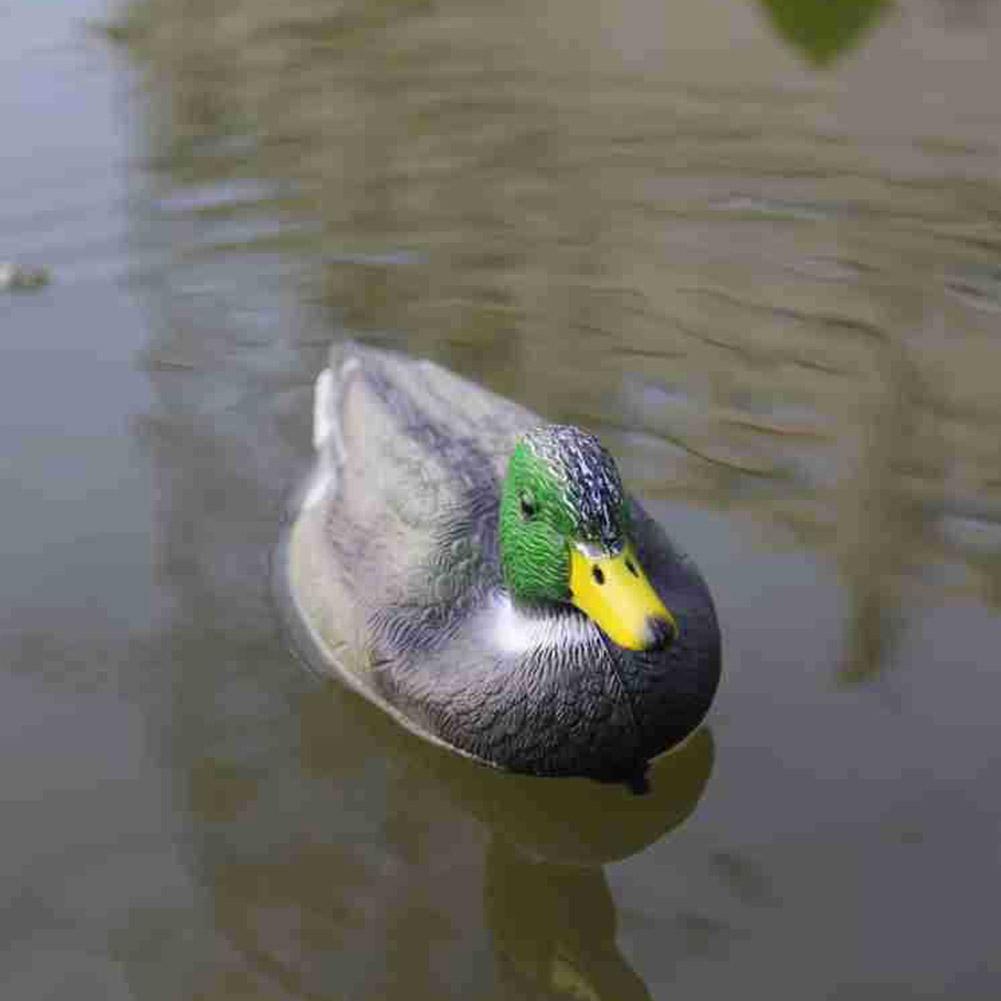 Outdoor Realistic Plastic Duck - đánh giá và giá Decoy Duck Plastic