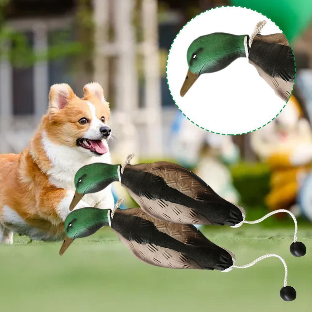Mallard Duck Decoy Dog Trainin - đánh giá và giá Decoy Duck Plastic