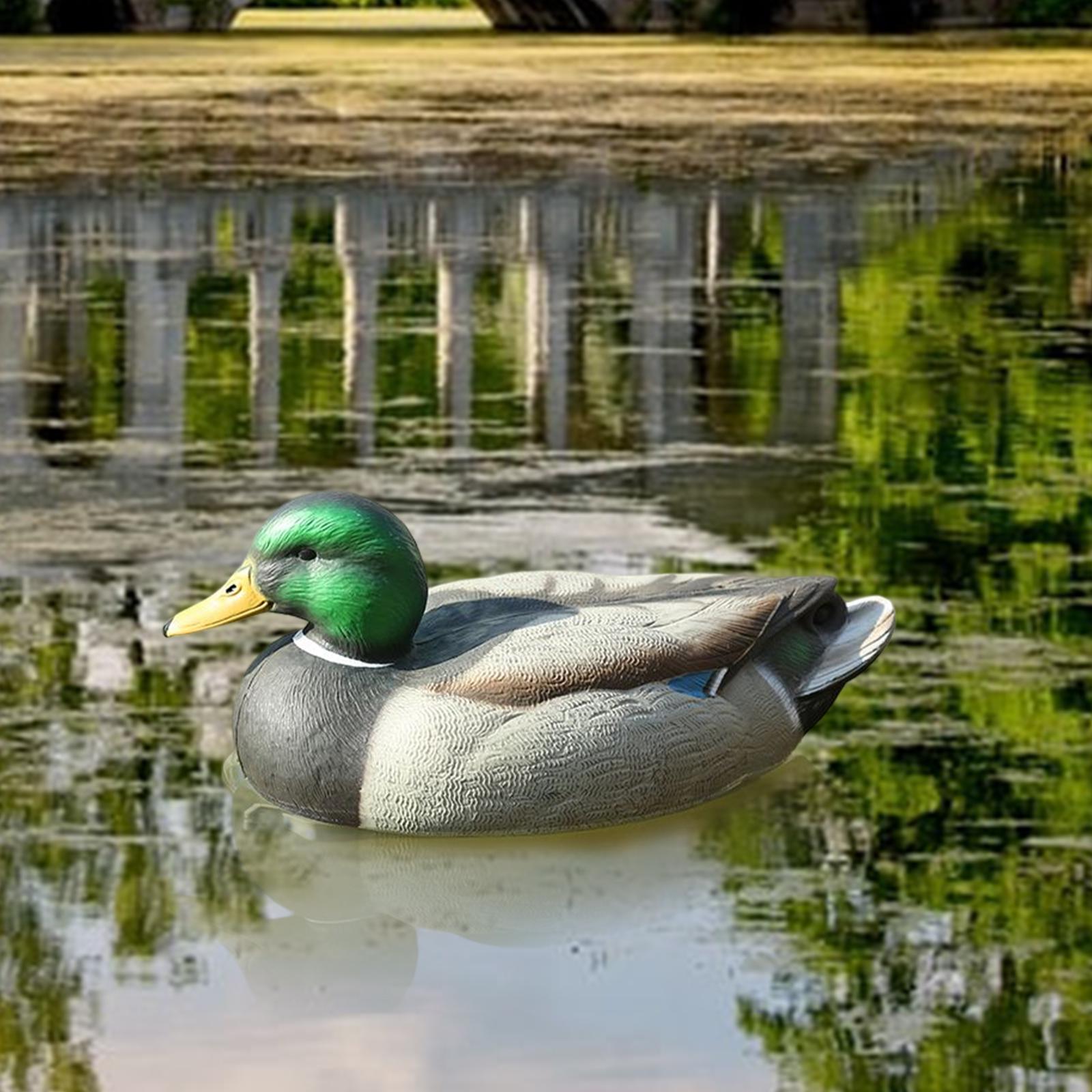 Anatomically Perfect Plastic D - đánh giá và giá Decoy Duck Plastic
