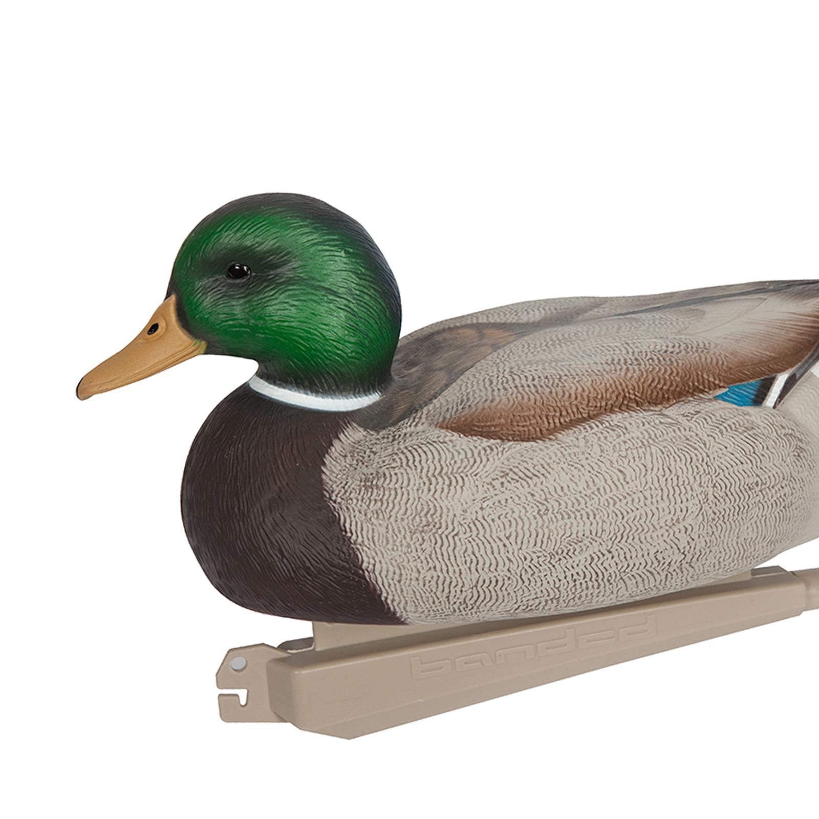 Anatomically Perfect Plastic D - đánh giá và giá Decoy Duck Plastic