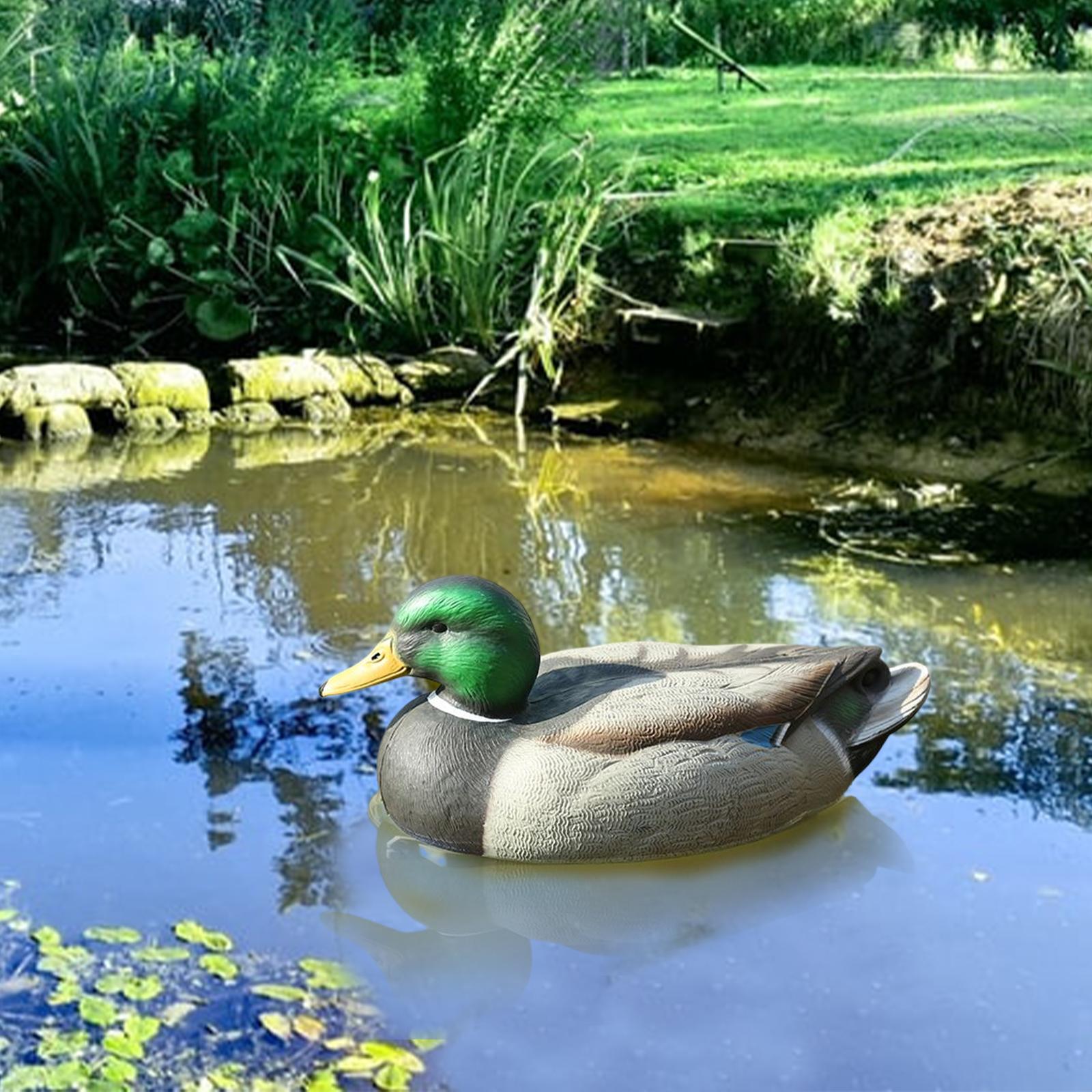 Anatomically Perfect Plastic D - đánh giá và giá Decoy Duck Plastic