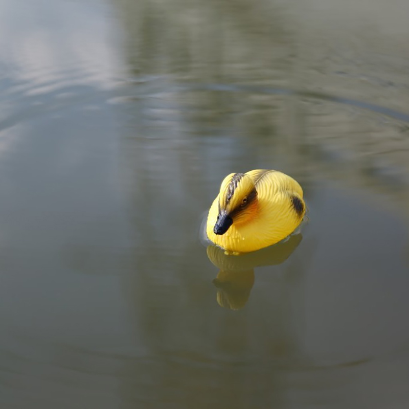Floating Duck Ducklings Pond S - đánh giá và giá Decoy Duck Plastic